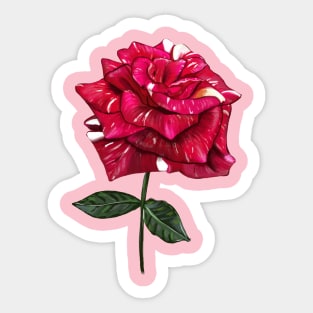 Hand drawn rose Sticker